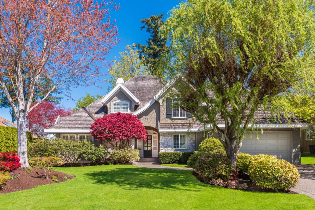 Landscape Renovation